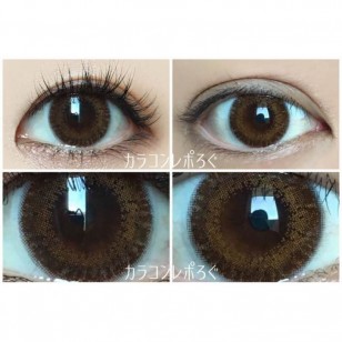 FLANMY Choco Tart 10片裝